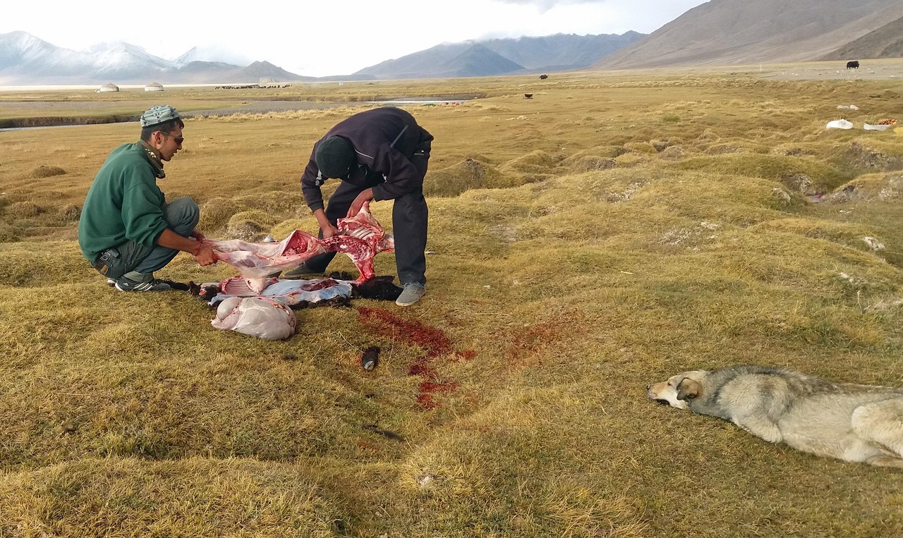 Photos from our Tajikistan to Kyrgyzstan   Cycling Holiday